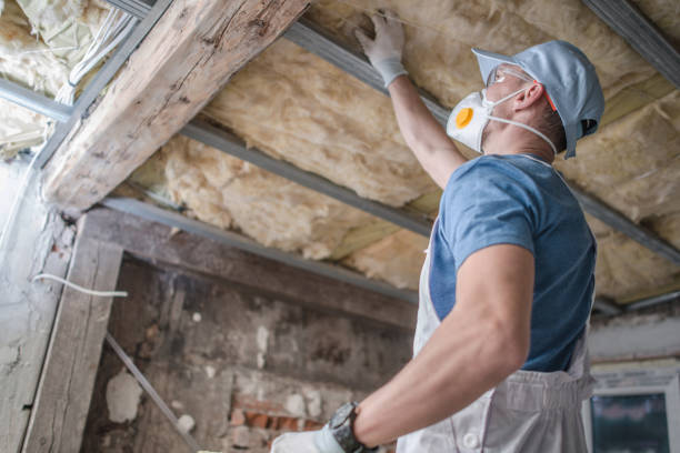 Best Insulation for Specific Applications in Mccoll, SC